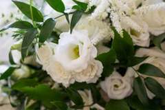 Georgie_Jack_024
