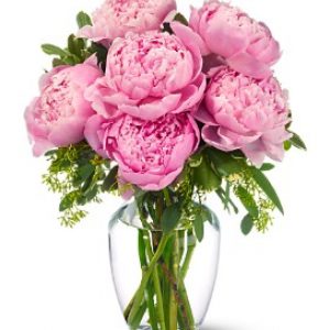 Peonies Bunch in Vase