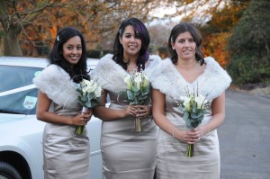 Bridesmaids at Pembroke Lodge