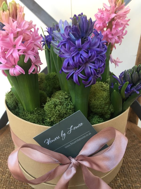 Scented Hyacinth Hatbox