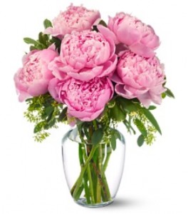 peonies bunch in vase